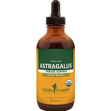 Astragalus root extract