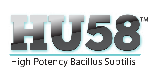 High Potency Bacillus Subtilis (HU58)