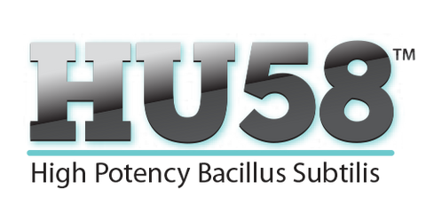 High Potency Bacillus Subtilis (HU58)