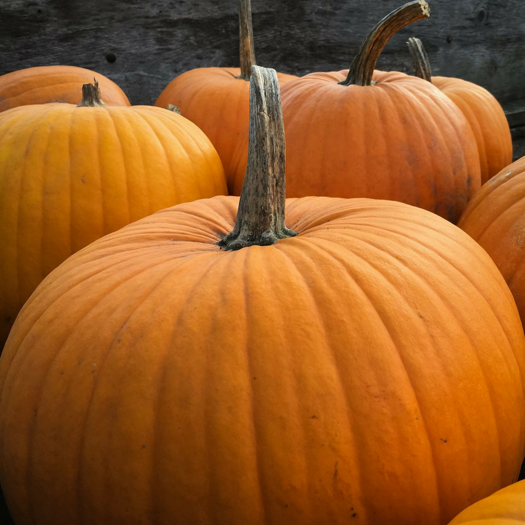 Fall Detox